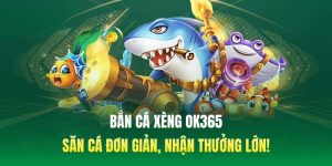 ban-ca-xeng-ok365-anh-dai-dien