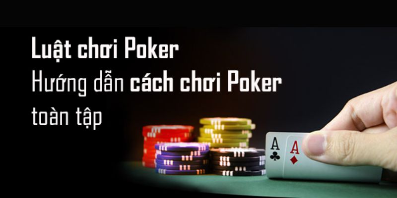 Hướng dẫn luật chơi Poker toàn tập dành cho newbie